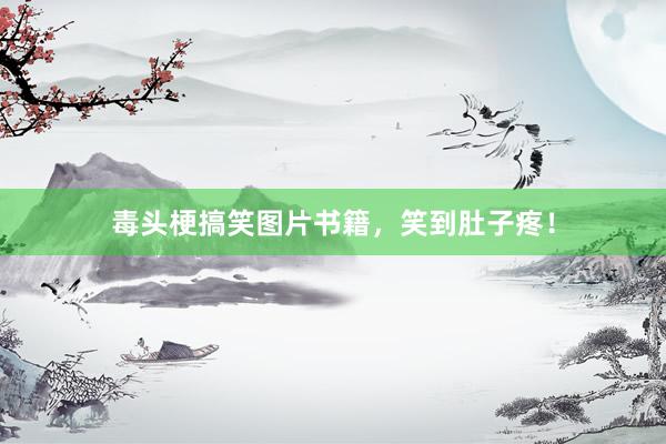毒头梗搞笑图片书籍，笑到肚子疼！