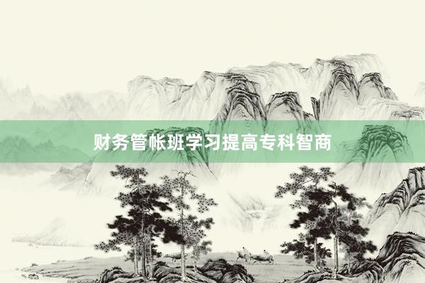财务管帐班学习提高专科智商