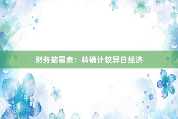 财务掂量表：精确计较异日经济